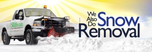 Snow Removal Policy